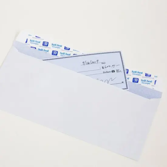 BAZIC&reg; #10 Self-Seal Security Envelopes, 500ct. {3}