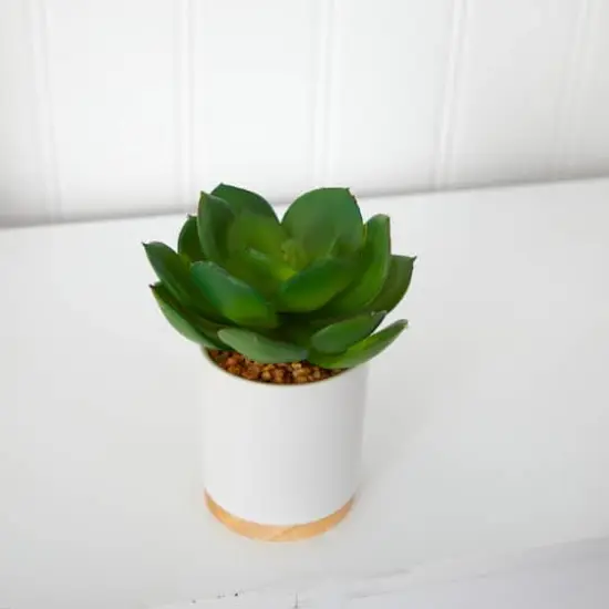 6'' Succulent Artificial Plant in White Ceramic Planter {4}