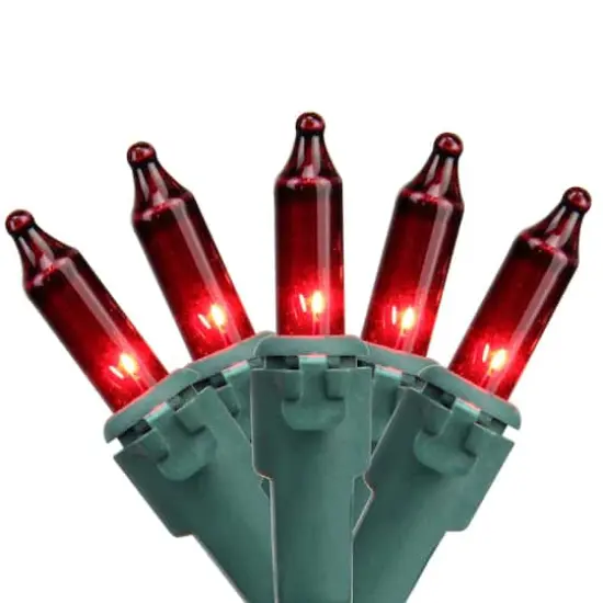 100ct. Mini Christmas String Lights with Green Wire Red {1}