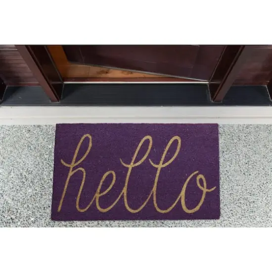 DII&reg; Hello Doormat Purple {4}