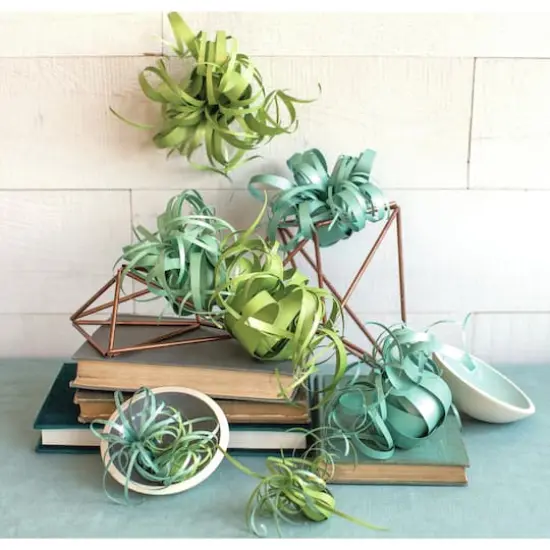 Lia Griffith Paper Stack 8.5" x 11" 24 ct. Airplants {3}