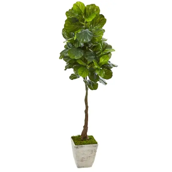 5.6ft. Real Touch&trade; Fiddle Leaf Tree in Country White Planter {1}
