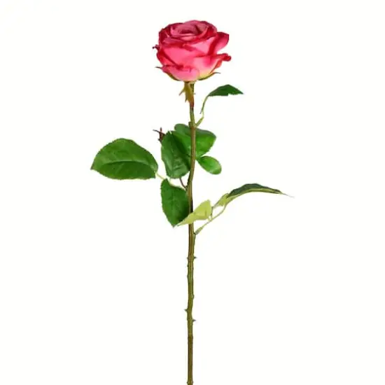 Deep Pink Rose Stem, 6ct. {1}