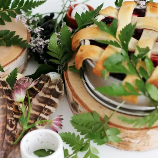 Wilson&reg; Enterprises 5" Birch Rounds, 8ct. {4}