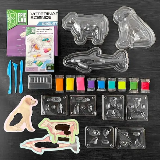 ArtSkills&reg; Epic Lab Veterinary Science STEM Kit {4}