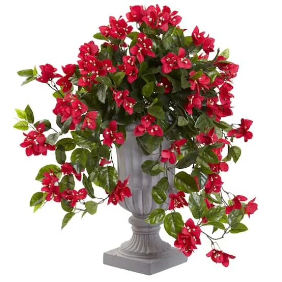 28" Bougainvillea In Decorative Urn {1}