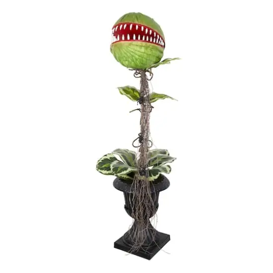 46" Venus Flytrap in Black Urn by Ashland® {1}