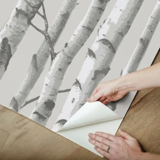 InHome Birch Forest Gray Peel & Stick Wallpaper {9}
