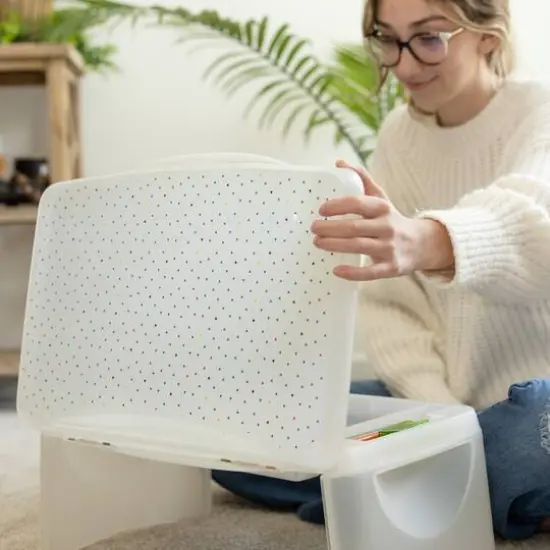 Everything Mary Multicolor Triangles Plastic Lap Desk {4}