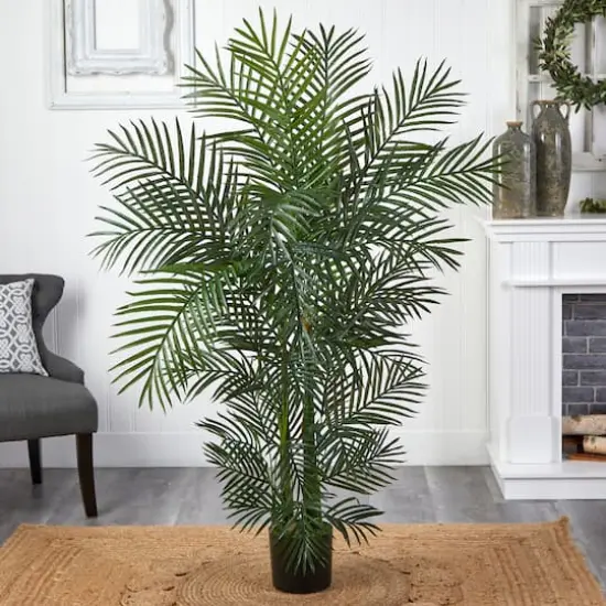 4.5ft. Potted Areca Palm {5}