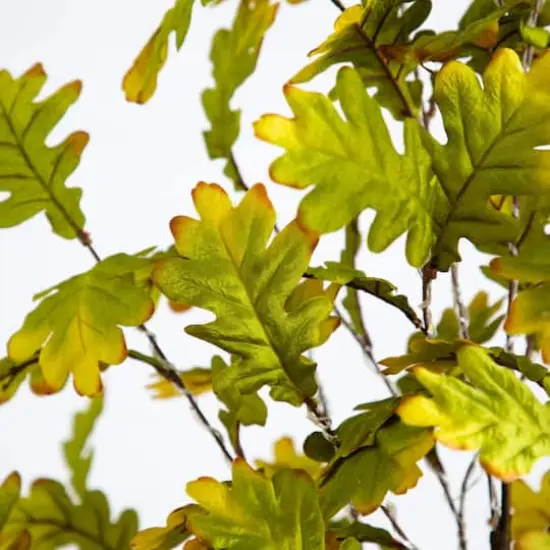 5ft. Pre-Lit Green Autumn Oak Artificial Fall Tree with 200 Warm White LED Lights {4}