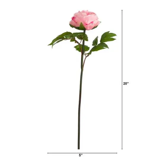 20" Pink Peony Flower Stems, 3ct. {8}