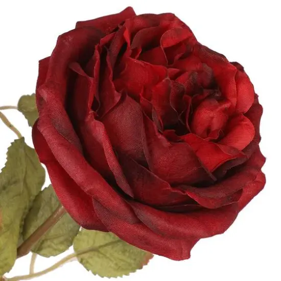 20" Deluxe Burgundy Rose Bush by Ashland&reg; {3}