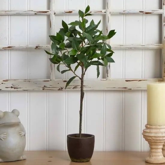 2.5ft. Topiary in Decorative Planter {6}