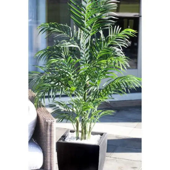 4.5ft. UV Resistant Areca Palm Tree with Black Wash Planter {5}