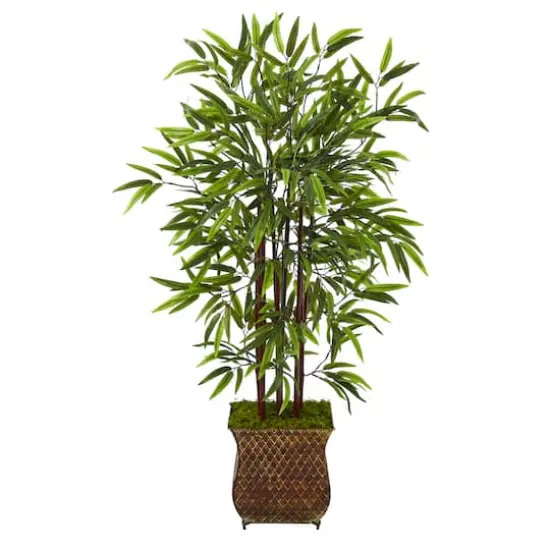 3.5ft. Bamboo Tree in Metal Planter {1}