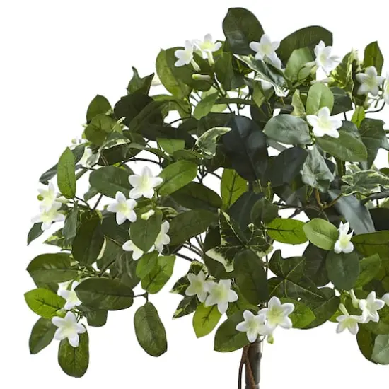 3ft. White Stephanotis Topiary In Planter {3}