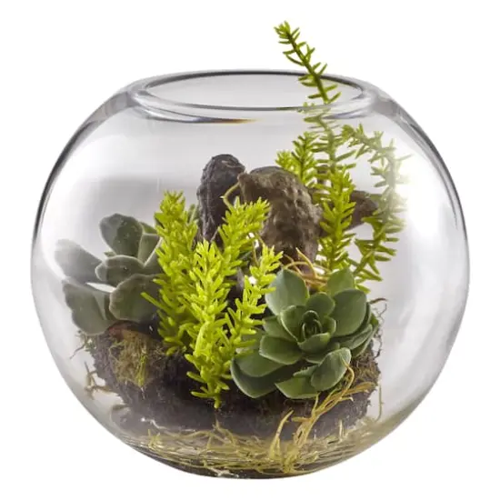 8" Mix Succulent Garden in Glass Vase {3}
