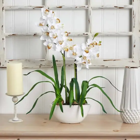 2.5ft. White Boat Orchid in White Vase {4}