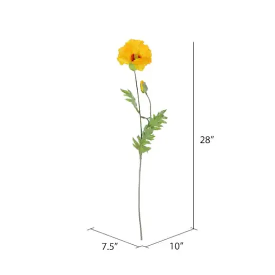 6 Pack: Yellow Poppy Stem {3}