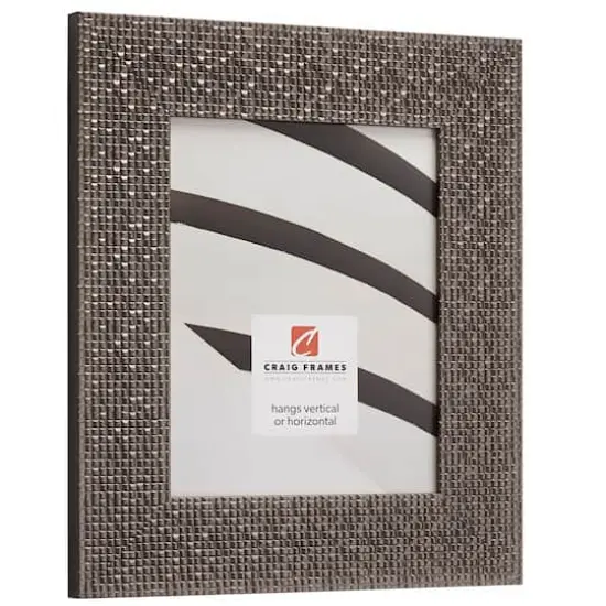 Craig Frames Glimmer Pewter Gray Picture Frame  {4}