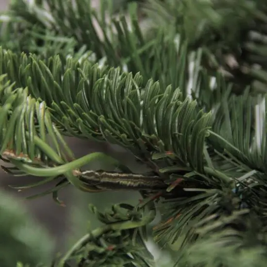 7.5ft. Unlit Layered Noble Fir Artificial Christmas Tree {6}