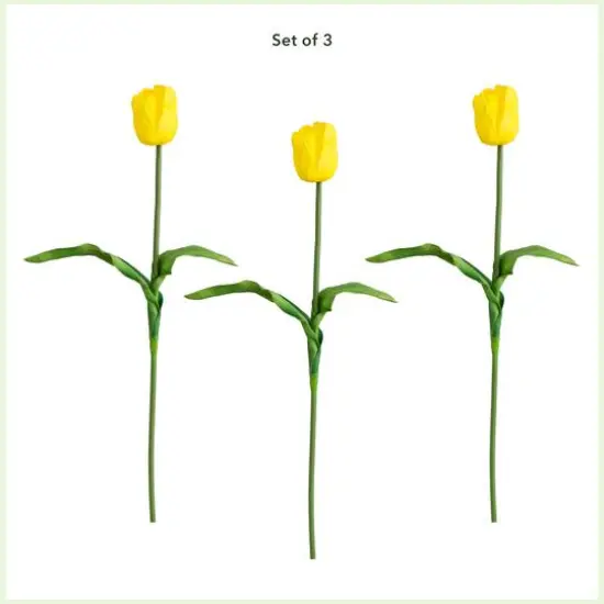 25" Yellow Tulip Flower Stems, 3ct. {4}
