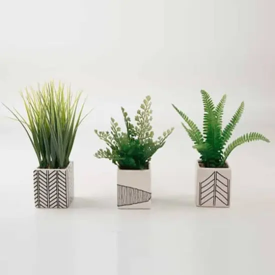 TF Publishing 7" Ferns and Grass in Chevron Pot, 3ct. {1}