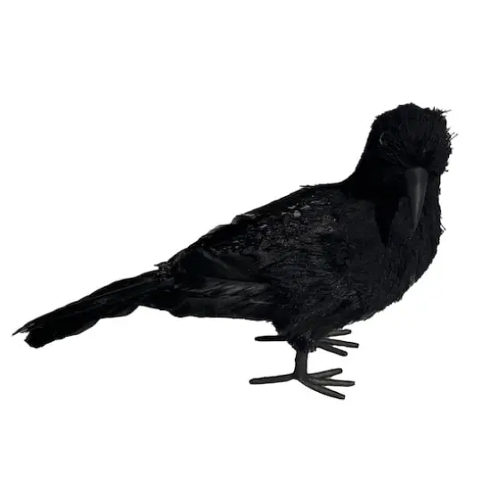 10.75" Crow with Glitter by Ashland&reg; {3}