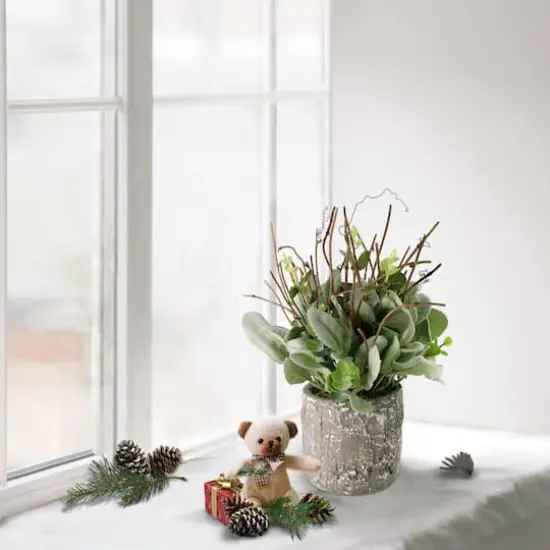 11" Lamb's Ear in Cement Pot {4}