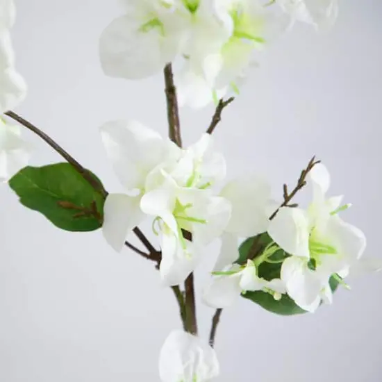 47" Cream Bougainvillea Flower Stems, 3ct. {4}