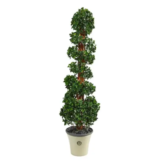 5.6ft. English Ivy Spiral Topiary in Decorative Planter {1}