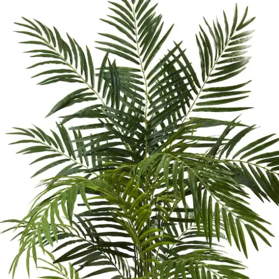6ft. Potted Green Areca Palm Tree {3}