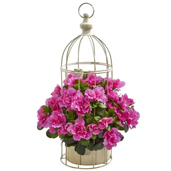 19" Pink Azalea in Decorative Bird Cage {1}