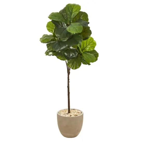4.5ft. Fiddle Leaf Tree in Sandstone Planter {1}