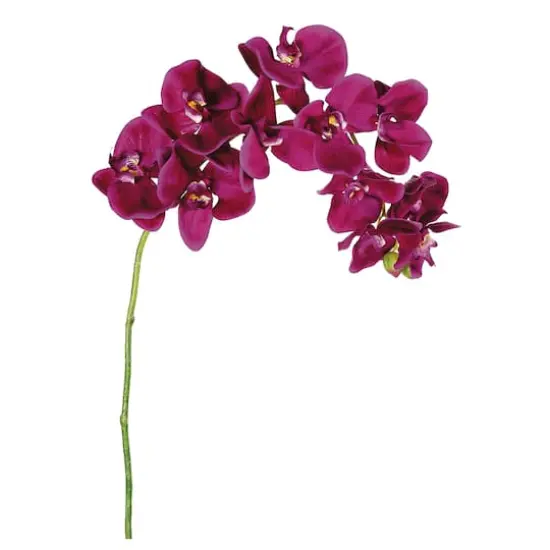 Violet Phalaenopsis Orchid Spray {1}