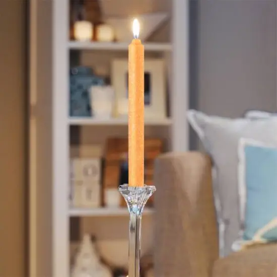 Root Candles 9" Unscented Timberline&trade; Arista&trade; Taper Candles, 12ct. Mandarin {4}