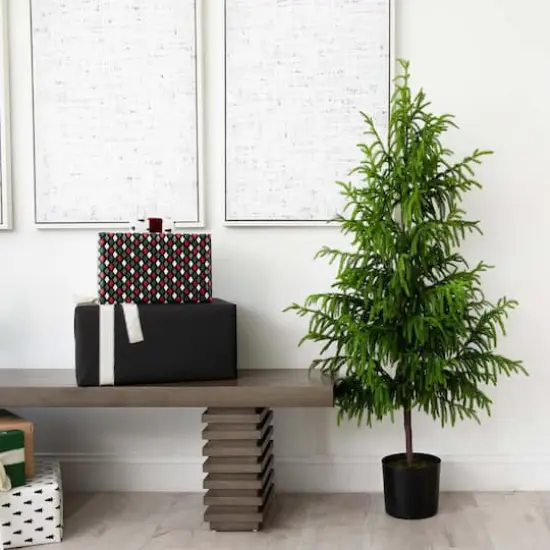 5ft. Unlit Norfolk Pine Artificial Potted Christmas Tree {8}