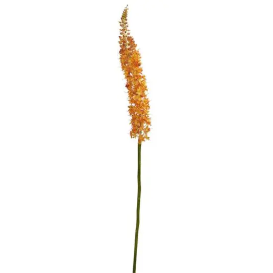 Orange Fox Tail Flower Stems, 3ct. {1}