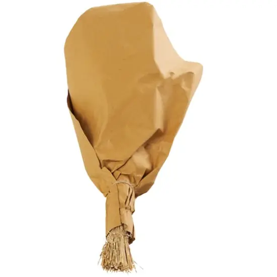 Beige Dried Mixed Foliage Arrangement {5}