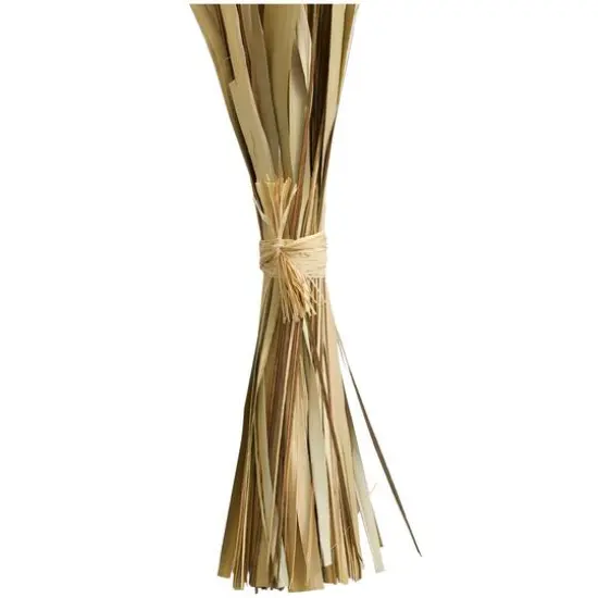 40" Green Dried Plant Bouquet Grass Natural Foliage with Fan Like Palm Leaves {5}