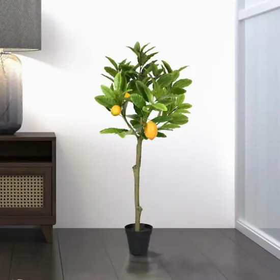 3ft. Potted Lemon Tree {3}