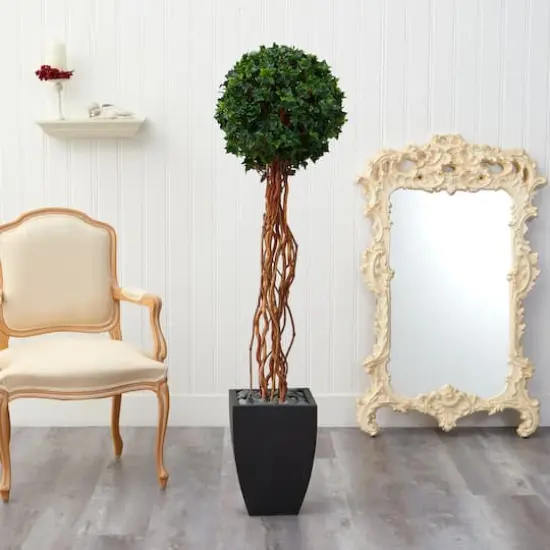 5.5ft. English Ivy Single Ball Artificial Topiary Tree in Black Planter {4}