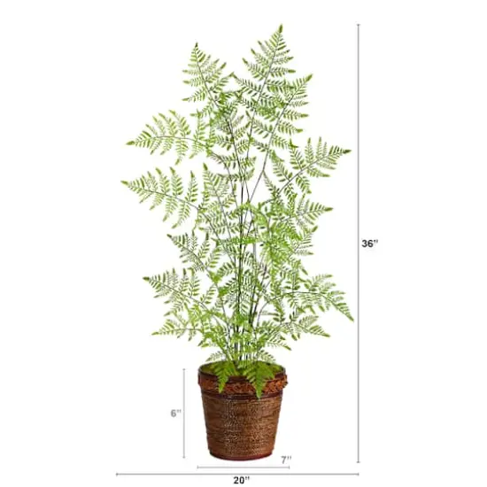 3ft. Ruffle Fern Artificial Tree in Basket {3}