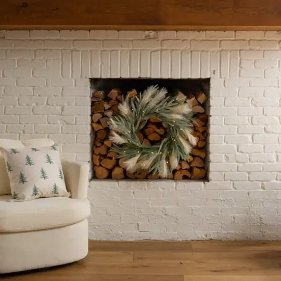 24in. Artificial Balsam Fir Pine and Pampas Wreath with 50 Color Changing LED Lights {14}