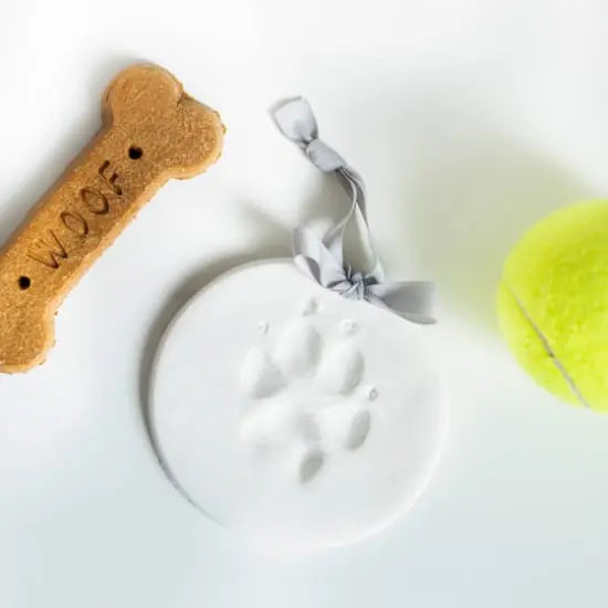 Pearhead Pawprint Keepsake {4}