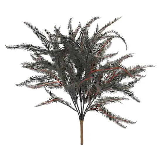 16" Black Dripping Boston Fern Bush by Ashland&reg; {1}