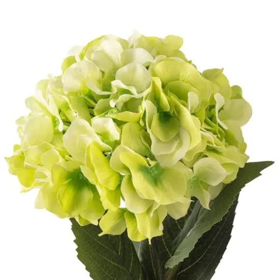 Garden Blooms Hydrangea Stem by Ashland&reg; Green {4}