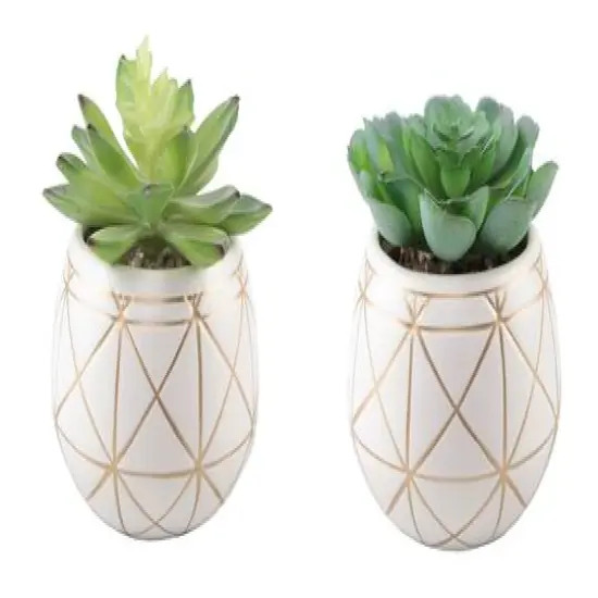 Flora Bunda&reg; 4" Succulent in Geo Gold Round Ceramic Pot, 2ct. {1}