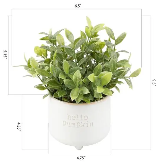 Flora Bunda&reg; Tea Leaf in Hello Pumpkin Ceramic Footed Pot {3}